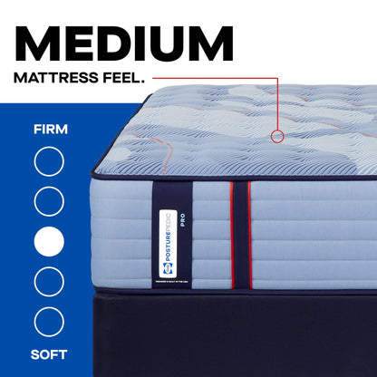 best Sealy Mattress Sealy Posturepedic Pro Medium Mattress – Dupont II