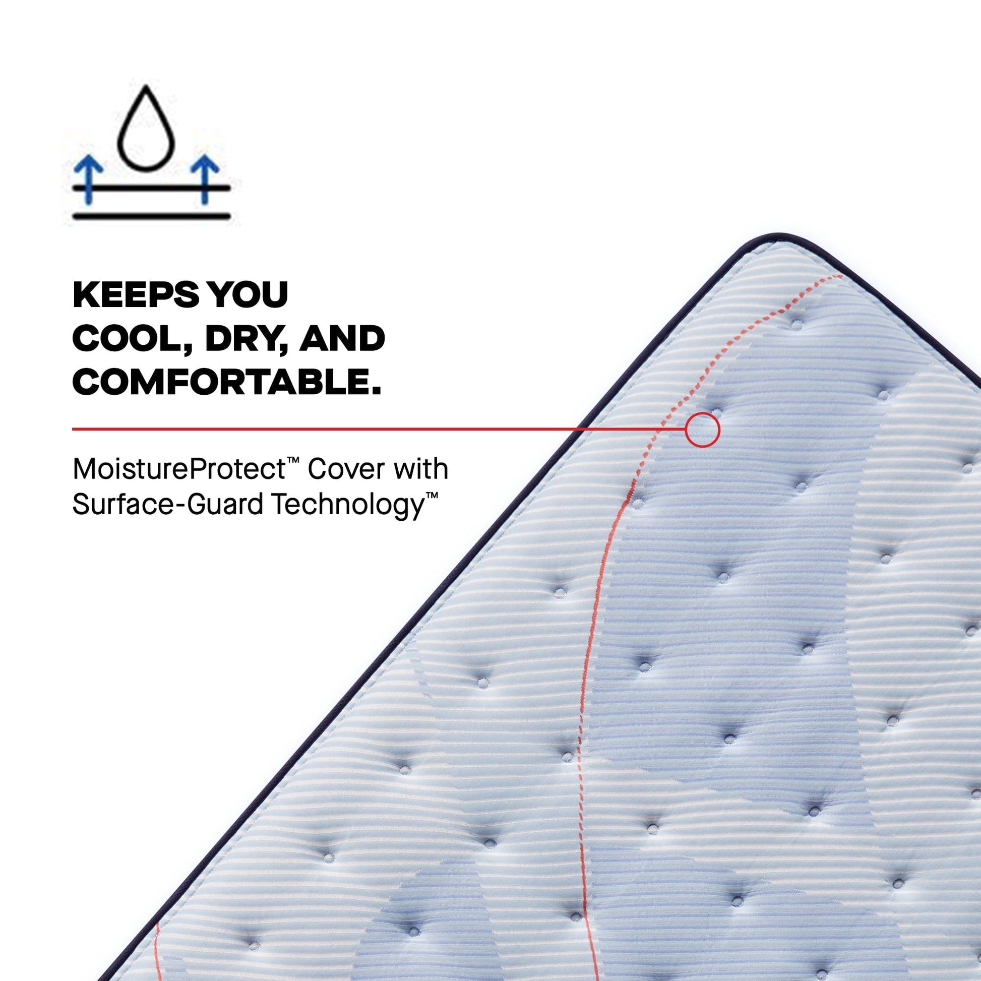 Sealy Mattress Sealy Posturepedic Plus Soft Mattress – Patterson II Euro Pillow Top mattress stores near me